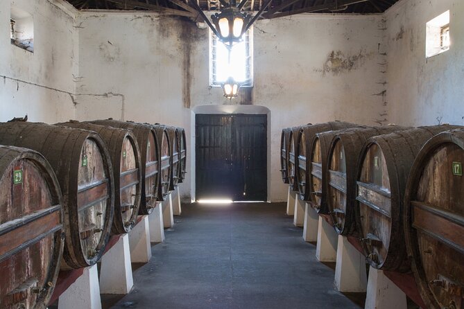 Historic Winery Tour and Tasting in Bombarral - Discovering the Estate’s Rich History and Architecture