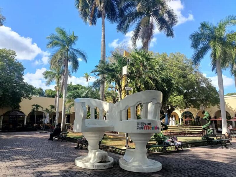 Historical and cultural tour in Merida, Yucatan, Mexico - Logistics and Practical Tips for Participants