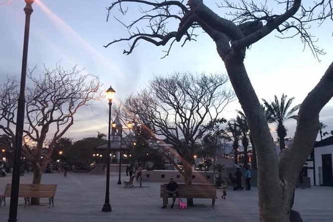 Historical and Cultural Walking Tour of San José del Cabo - Who Will Enjoy This Tour Most