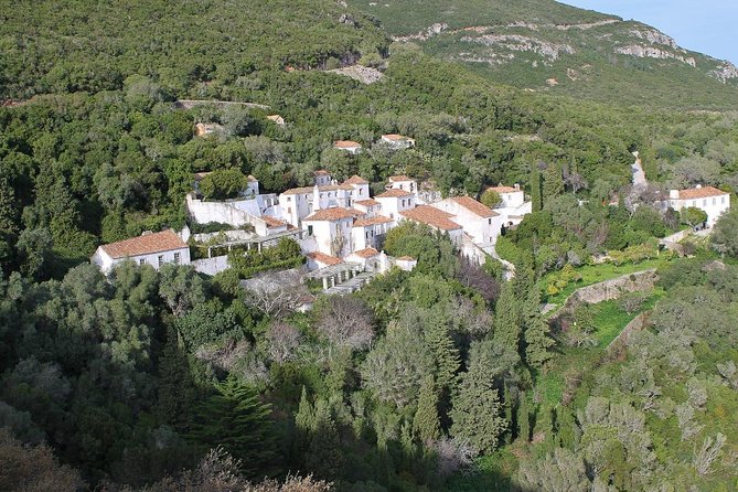 Historical and Natural Arrábida: Private Tour from Lisbon - Experiencing Setúbal’s Livramento Market