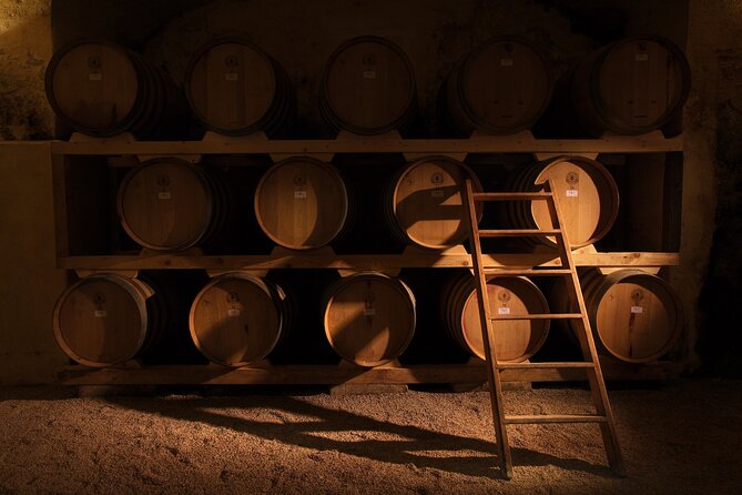 Historical Cellar Visit and Wine Tasting in Salento - Explore Puglias Historic Winery at Castel di Salve