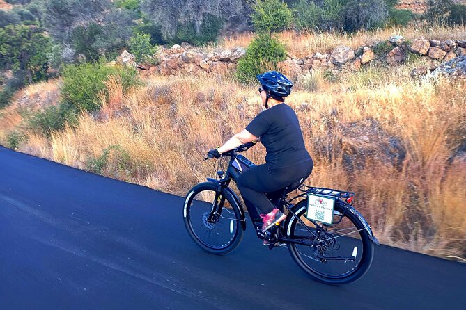Historical E-Bike Tour in Methana - Insights from Reviews: What Makes This Tour Special