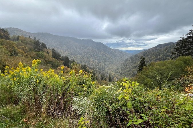 Historical Hikes in the Great Smoky Mountains National Park - The Educational Component: Cherokee Medicinal Plants and Park History