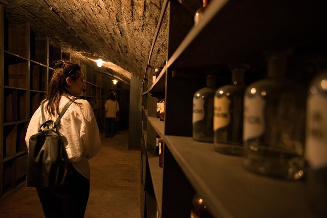 Historical Pharmacy Cellar Guided Tour - Exploring a Hidden Network of Viennas Underground Corridors