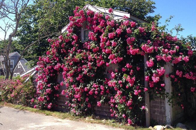 Historical Tour of Nantucket - Accessibility and Suitability