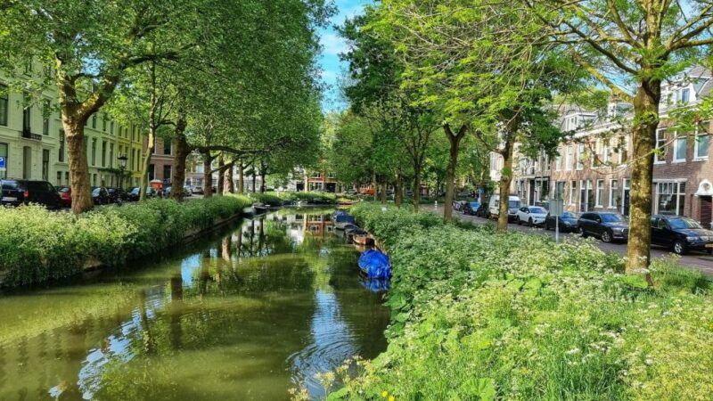 Historical Utrecht: Private Tour with Local Guide - Strolling Along Utrecht’s Quaint Canals and Wharfs