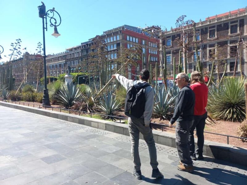 Historical Walking Tour of Mexico Citys Historic Center - Who Will Appreciate This Tour?