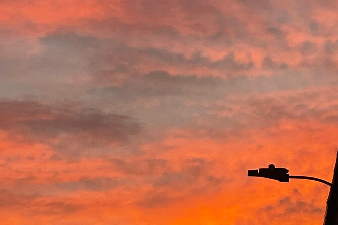 Histories Forbidden Chronicles early evening tour. - The Shadows of Skeldergate Bridge and Mysteries of Alchemy