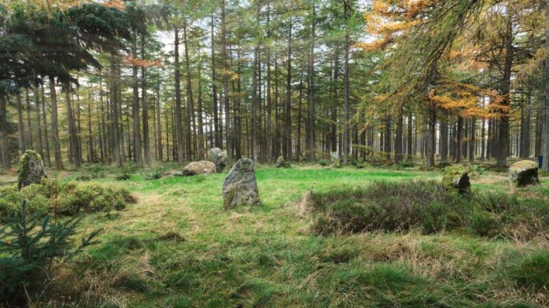 History and Nature: Full-Day Private Tour from Aberdeen - Starting from Aberdeen: A Smooth Pickup and Drop-off