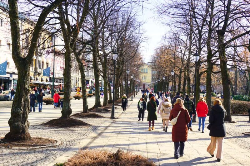 History and Secrets of Oslo Tour - Walking Along Karl Johans Street and Visiting Oslo Central Station