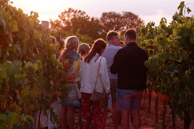 History & Local Wines: Amphitheater, Mitrium and Winery Visit - Convenient Logistics and Group Experience