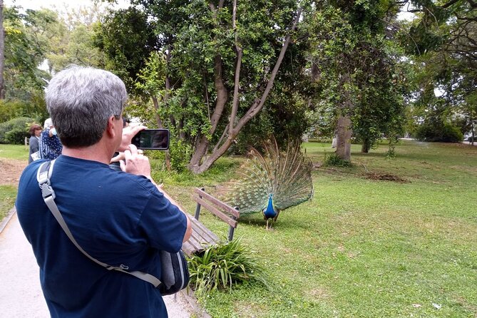 History-mistery of Lisbon (secrets societies and black arts) - Estacao Do Rossio: The Gateway to Sintra and Secret Histories