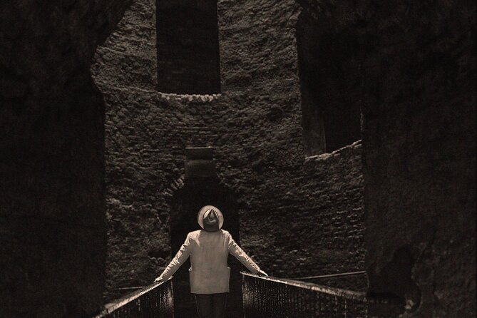 History of Freud in Orvieto - Experience the Influence of Freud in Orvieto for $290.89