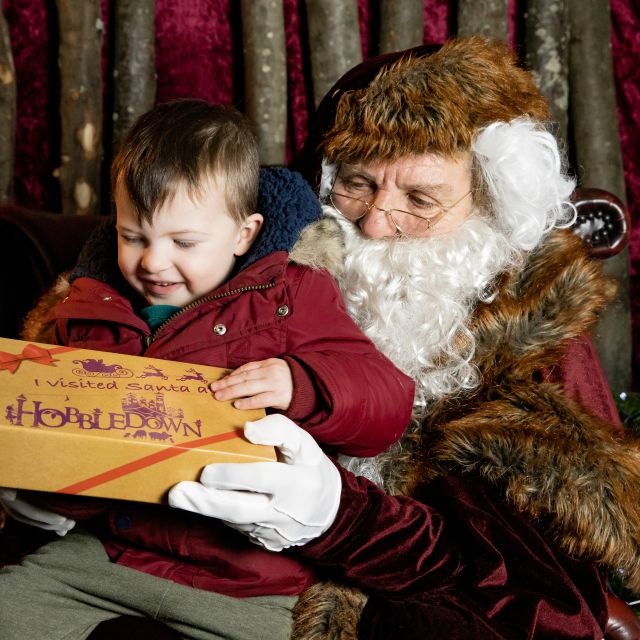 Hobbledown Heath One-Day Entry Ticket - Indoor Play at The Great Barn and Whammock