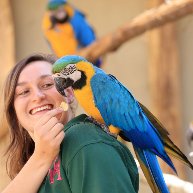 Hobbledown Heath One-Day Entry Ticket - Value for Money: Is the $18.18 Ticket Worth It?