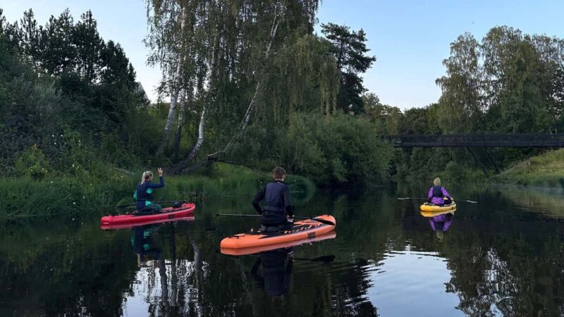 Hokksund: Beaver Safari on Stand-Up Paddleboard - Key Points
