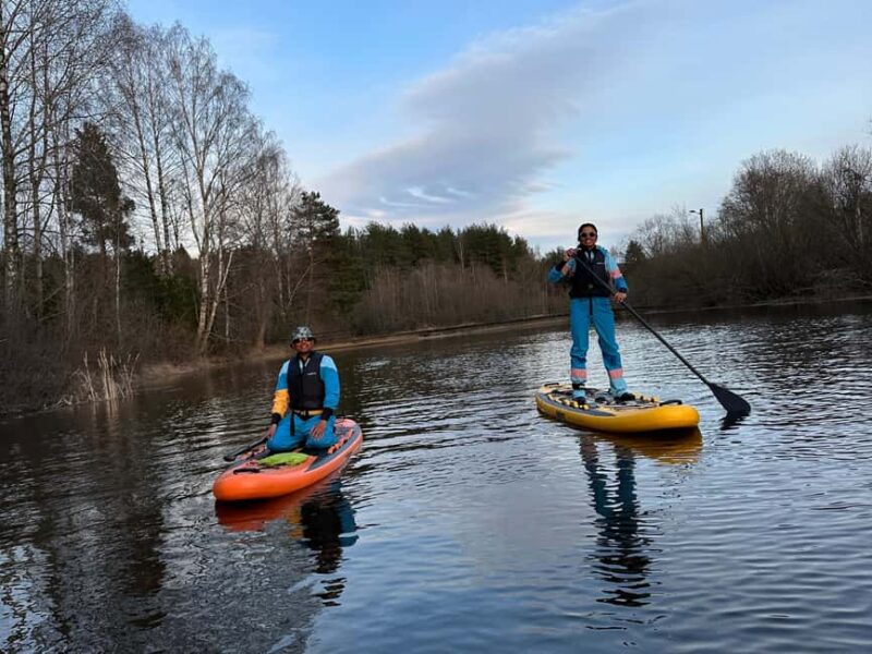 Hokksund: Beaver Safari on Stand-Up Paddleboard - Wildlife Watching and Best Times to See Beavers