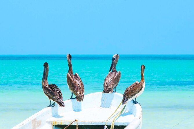 Holbox Beach Adventure! & Punta Mosquito Beaches from Tulum City - Exploring Holbox Town and Souvenir Shopping