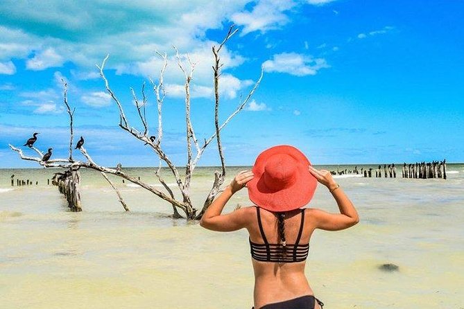 Holbox Beach Adventure! & Punta Mosquito Beaches from Tulum City - The Included Bike Ride and Beach Exploration