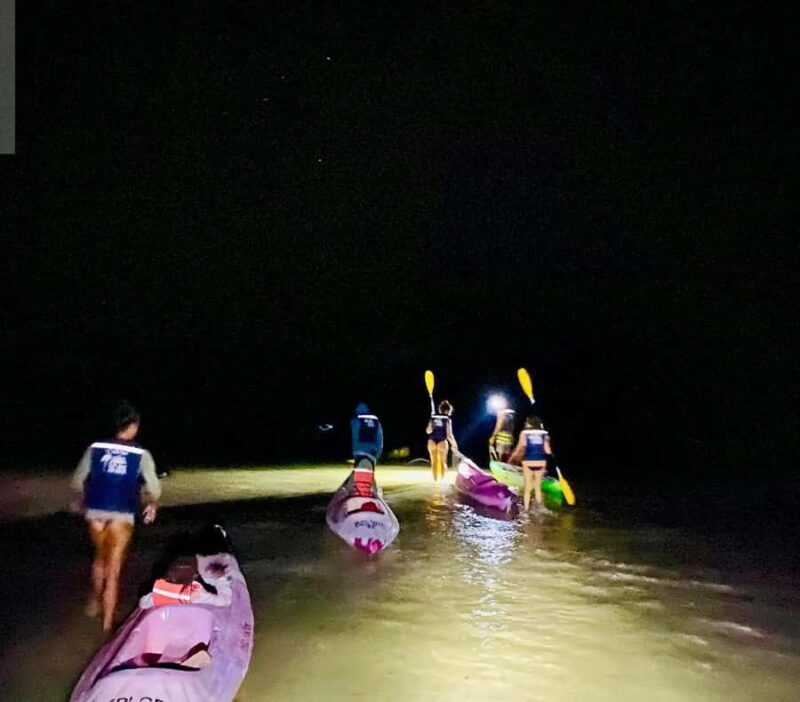 Holbox: Bioluminescence Kayaking and Stargazing - Discover the Unique Glow of Holbox’s Bioluminescence and Night Sky