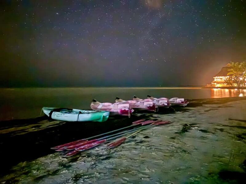 Holbox: Bioluminescence Kayaking and Stargazing - Watching the Stars and the Water Light Up