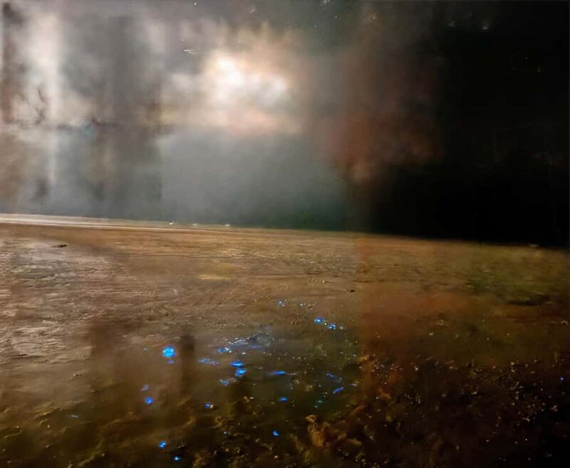 Holbox: Bioluminescence Kayaking and Stargazing - Practical Details and Equipment