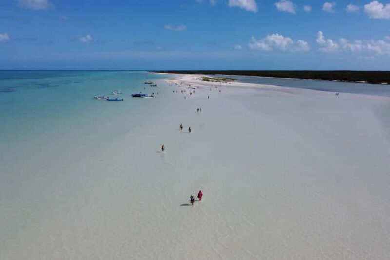 Holbox : boat tour, golfcart, beach club, pick up available - Scenic Boat Ride to Punta Mosquito