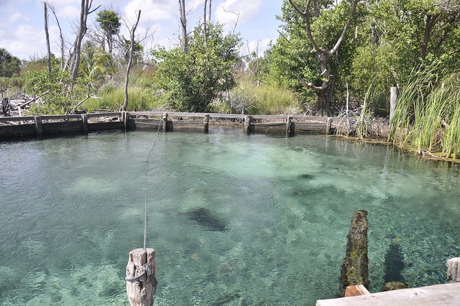 Holbox, Cenote & Two Island! + Punta Mosquito from Cancun - Refreshing Rejuvenation at Yalahau Lagoon