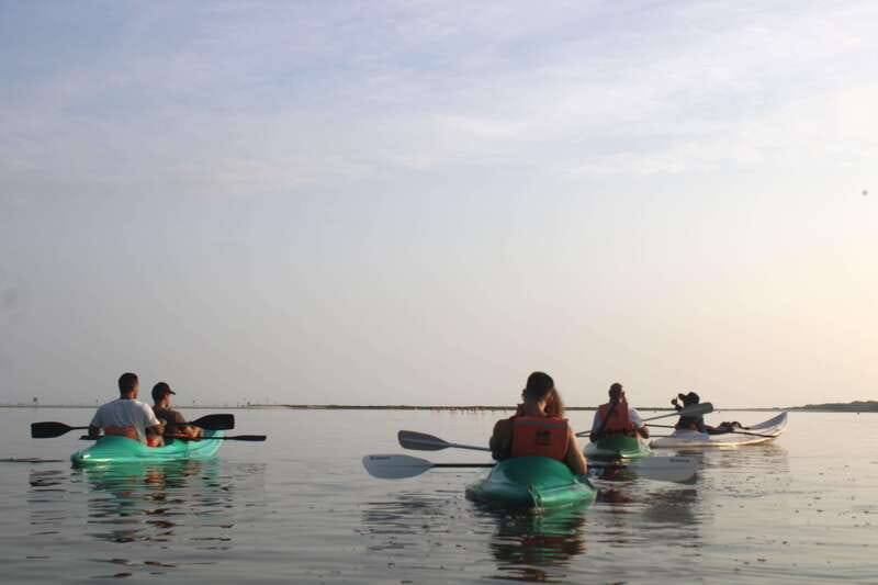 Holbox: Guided Sunrise/Sunset Kayak Tour by Mangrove Reserve - Key Points