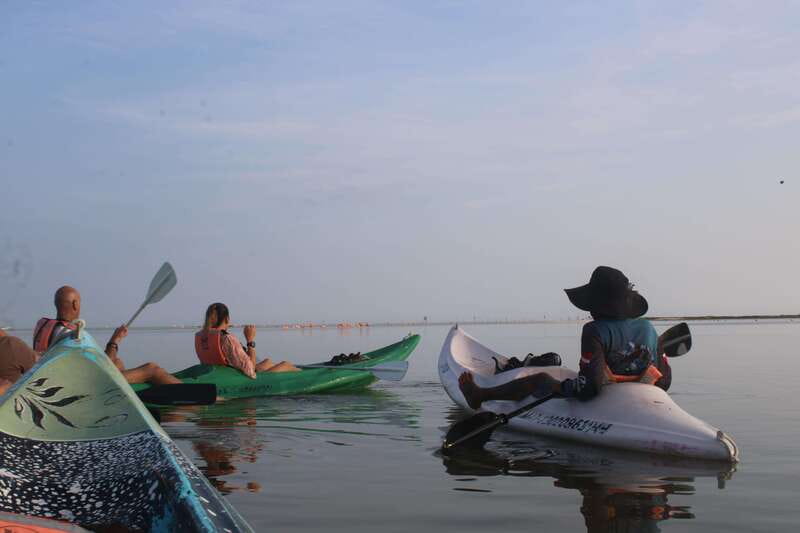 Holbox: Guided Sunrise/Sunset Kayak Tour by Mangrove Reserve - Kayaking Through the Holbox Mangrove Nature Reserve