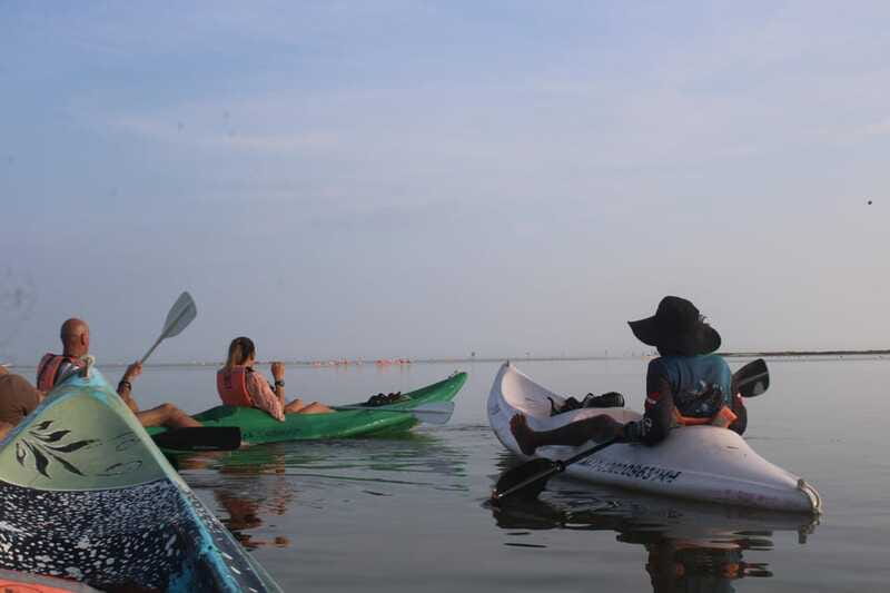 Holbox: Guided Sunrise/Sunset Kayak Tour by Mangrove Reserve - Snacks and Refreshments During the Tour