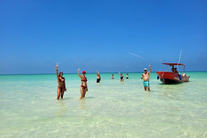 Holbox Island and Cenote Full Day Tour - Discovering Isla de la Pasion’s Secret Marine Ecosystem
