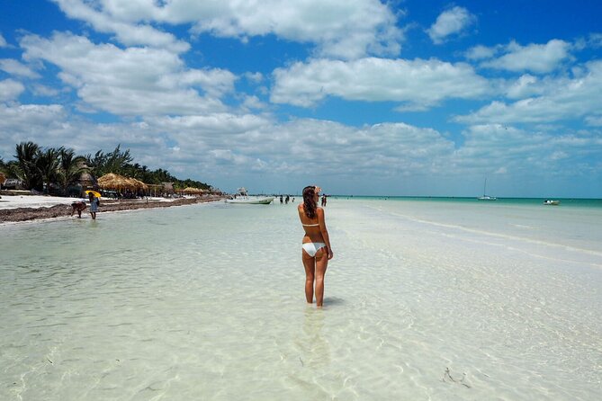 Holbox Island and Cenote Full Day Tour - Who Will Appreciate This Tour?