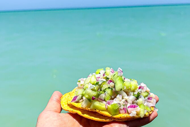Holbox Island Tour From Cancun with PickUp - The Pickup and Transportation Experience