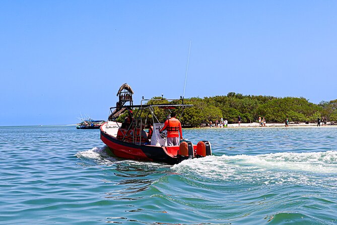 Holbox Island Tour From Cancun with PickUp - Beachside Picnic with Local Flavors