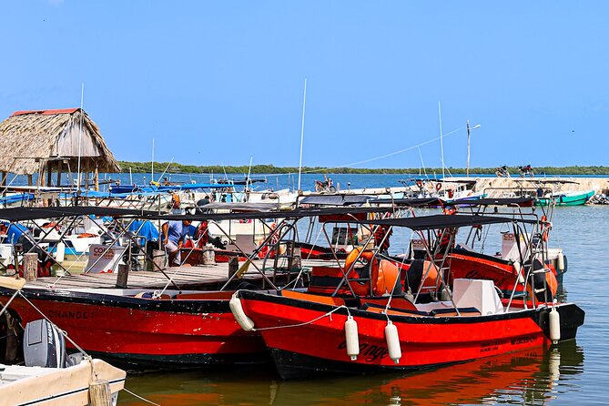 Holbox Island Tour From Cancun with PickUp - Wildlife and Marine Life on the Boat Trip