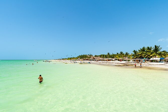 Holbox Island Tour with Pasion Island and Punta Mosquito - Meeting Point and Transportation Details in Playa del Carmen