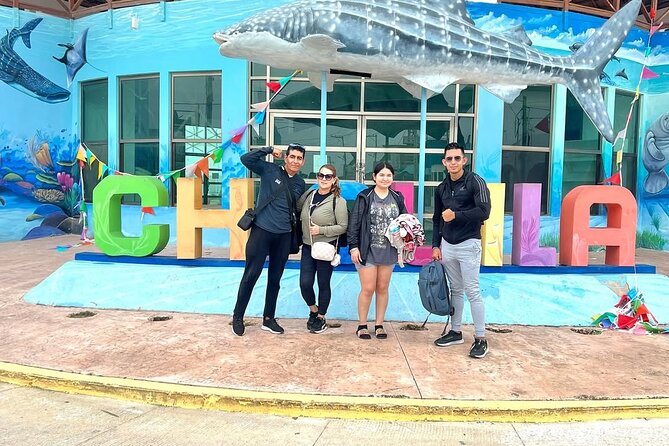 Holbox Island Trip with Boat Ride Biking and Swimming from Cancun - Starting Point and Transportation in Cancun