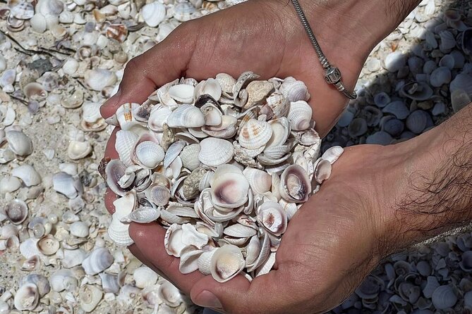 Holbox: Islas Pajaros, Yalahau & Isla de la Pasión with pick up - Important Details: What’s Not Included and Cancellation Policy