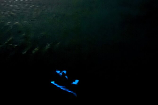 Holbox Kayak Bioluminescence Experience - Weather Considerations and Flexibility