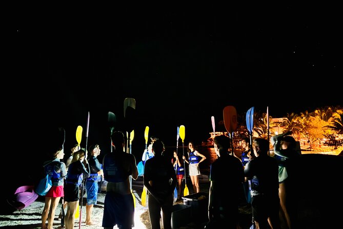 Holbox Kayak Bioluminescence Experience - Why Choose This Tour Over Others