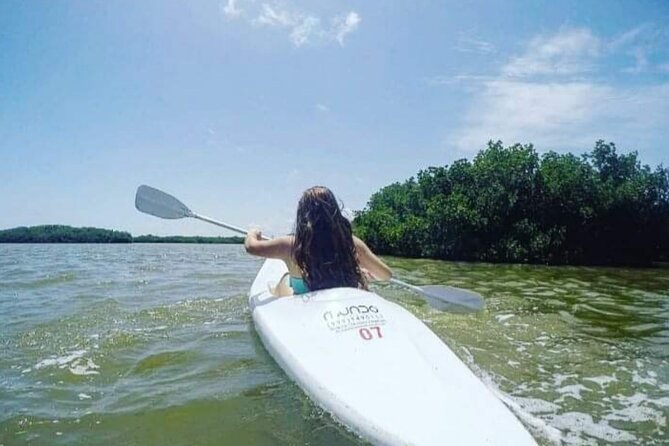 Holbox : Kayaking through Mangroves - Discover the Beauty of Holboxs Mangroves with Kayaking