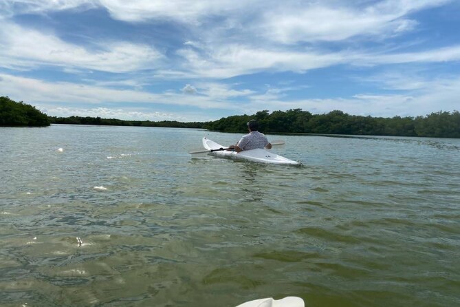 Holbox : Kayaking through Mangroves - Sailing to Punta Mosquito: Transition from Water to Kayaks