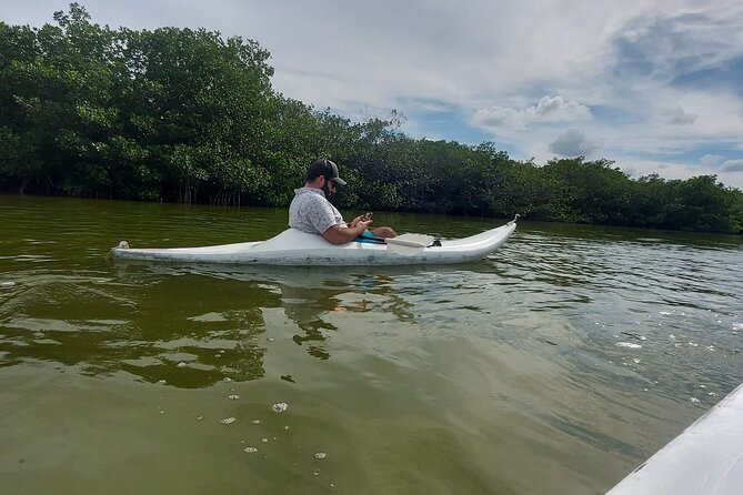 Holbox : Kayaking through Mangroves - Logistics and Group Experience