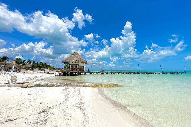 Holbox Magic Island! Punta Cocos + Punta Mosquito From Cancun - Key Points