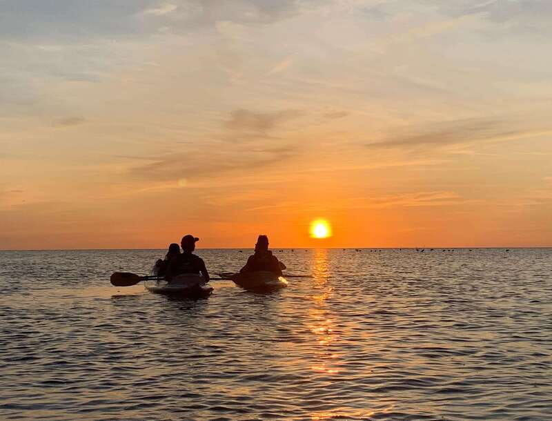 Holbox: Mangrove Sunset Kayak Tour - Starting Point and Transport: From Holbox to the Mangrove Ecosystem