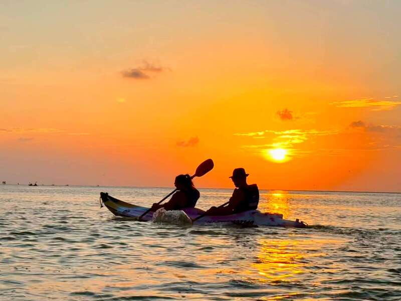 Holbox: Mangrove Sunset Kayak Tour - Wildlife Encounters and Bird Watching