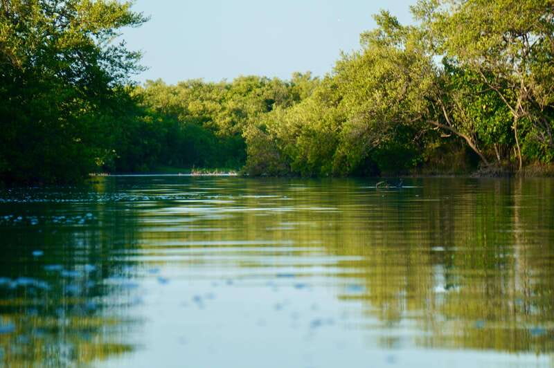 Holbox: Mangrove Sunset Kayak Tour - The Snack Break and Educational Talk