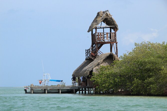 Holbox Paradise Experience - Key Points