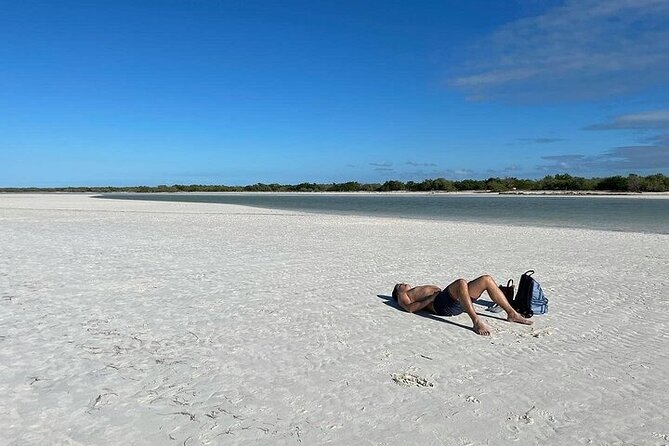 Holbox Punta Mosquito By Ferry only from Playa del Carmen - Transportation: Biking or Golf Cart Adventures